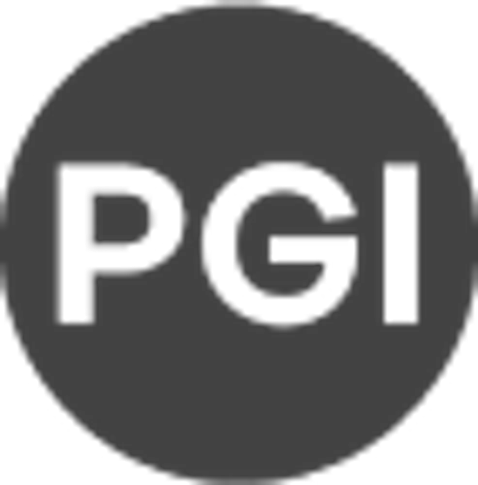 Pgi logo